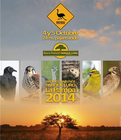 24 Hs Birding Challenge Parque Luro 2014