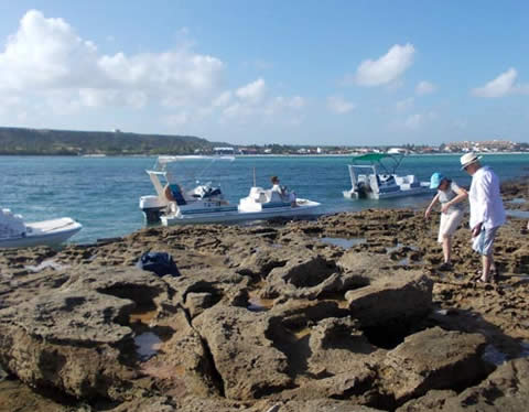 A Europa en barco, auto y avi&oacute;n