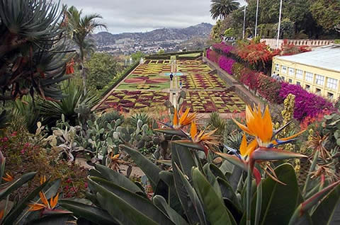 A Europa en barco, auto y avi&oacute;n