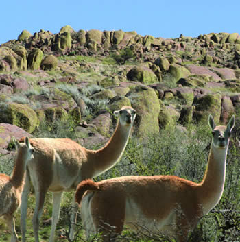 movimiento tur&iacute;stico en La Pampa por Semana Santa