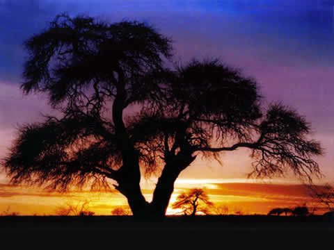 Fotograf&iacute;as de Antonio Y&aacute;nes en museo La Cinacina