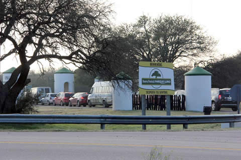 El atletismo y la m&uacute;sica reuni&oacute; a miles de personas en Parque Luro