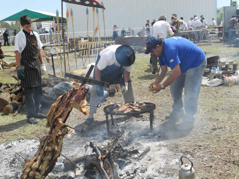 festival Ra&iacute;z de Tecn&oacute;polis