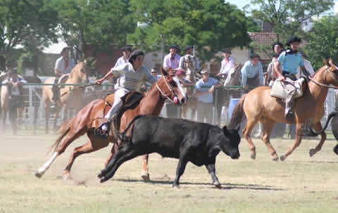Fiesta del D&iacute;a Nacional del Gaucho