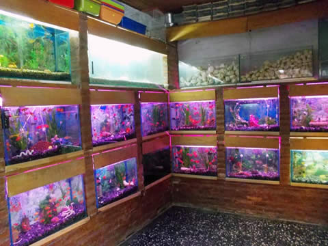 Distribuidora Mayorista &ldquo;La Granja&rdquo;