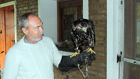 Encuentro Internacional de Cetrer&iacute;a en Colonia Bar&oacute;n