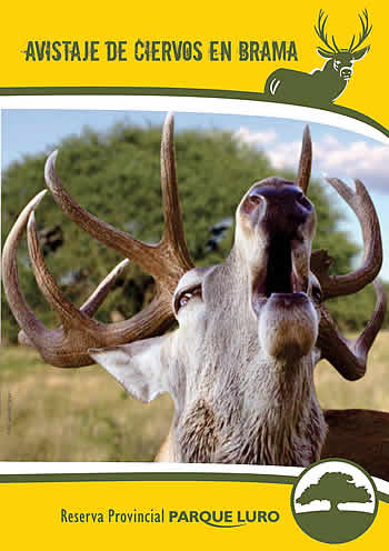 Folleter&iacute;a de la Secretar&iacute;a de Turismo sobre la Temporada de Brama 2011